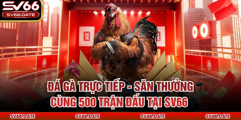 Đá Gà Trực Tiếp - Săn Thưởng Cùng 500 Trận Đấu Tại SV66