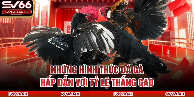 Những hình thức đá gà hấp dẫn với tỷ lệ thắng cao