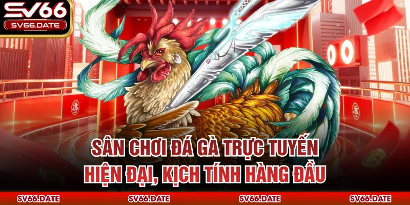 Sân chơi đá gà trực tuyến hiện đại, kịch tính hàng đầu